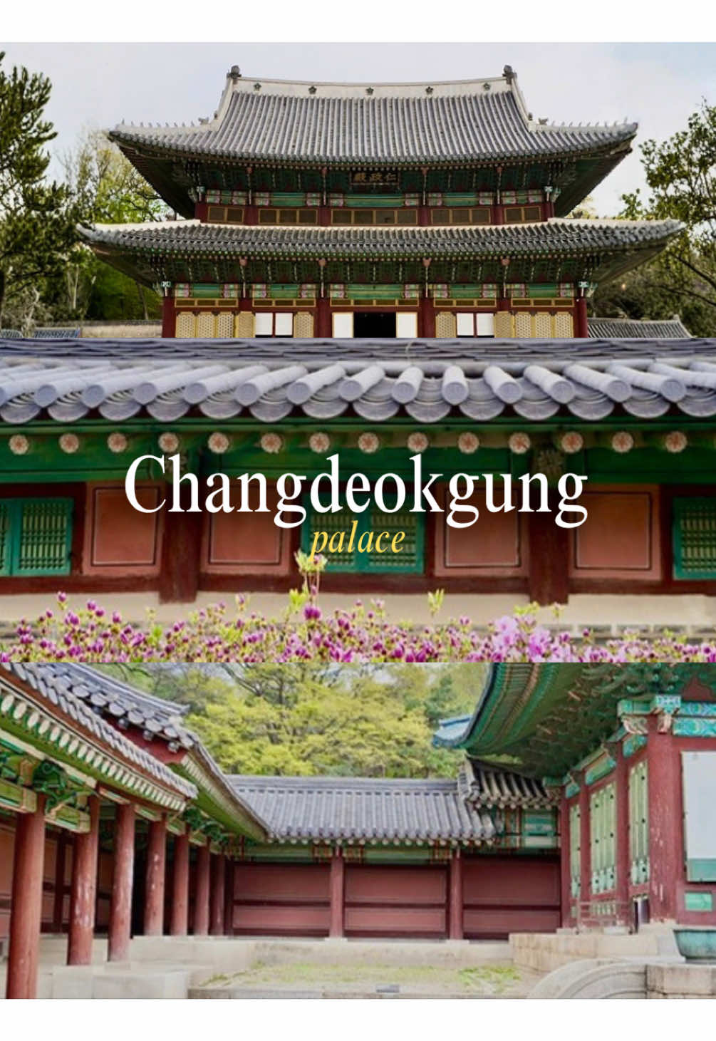 Seoul's Royal Palaces: Gyeongbokgung and Changdeokgung