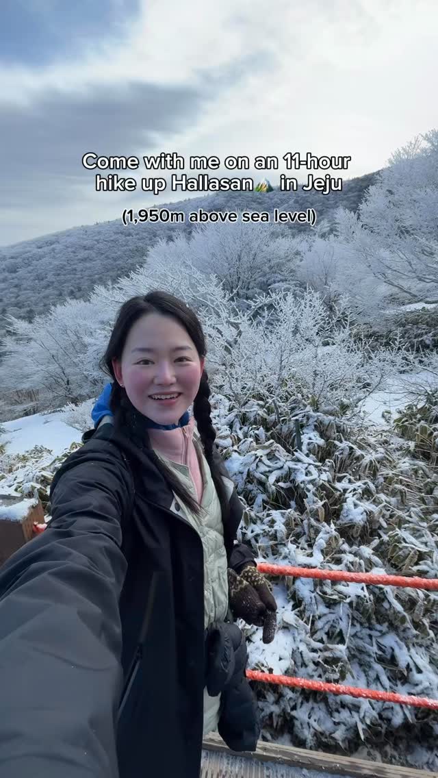 Hallasan Mountain Winter Hike To Baekrokdam Crater