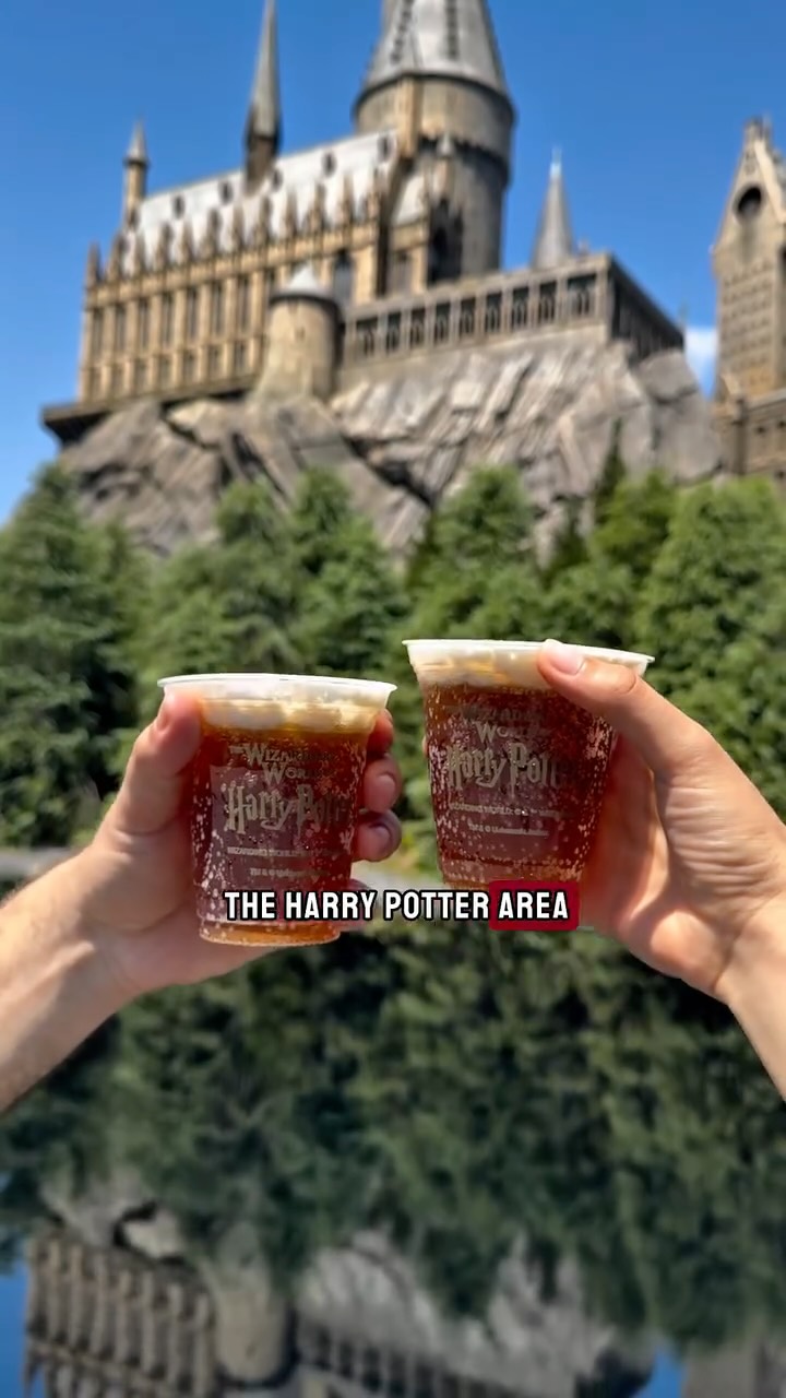 Immersive Harry Potter Experiences In Japan