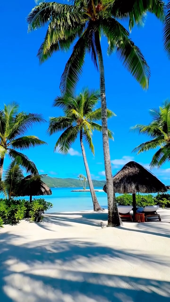 Stunning Beaches, Landscapes, and Wildlife Destinations
