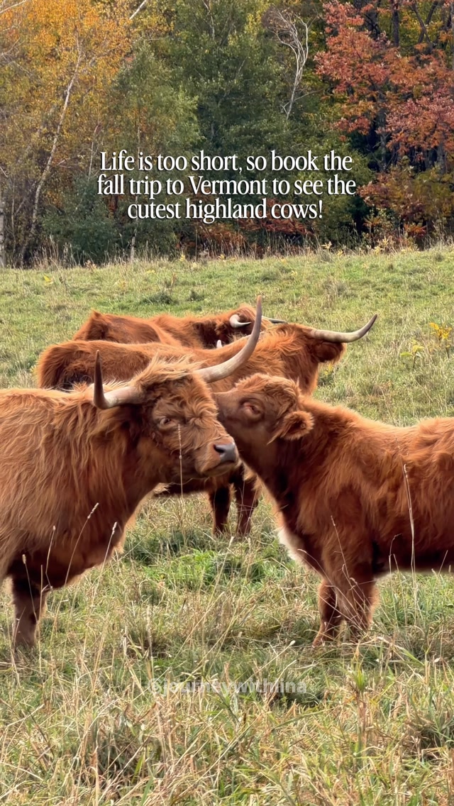 Vermont's Trapp Family Lodge and Brewery