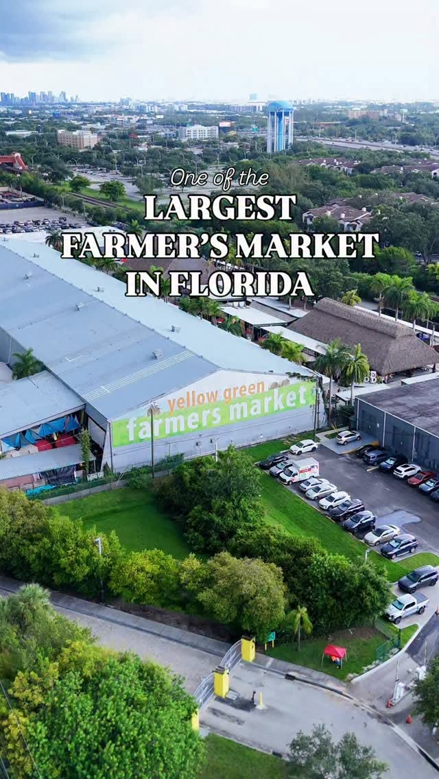 Florida's Largest Farmers Market Features Diverse Vendors
