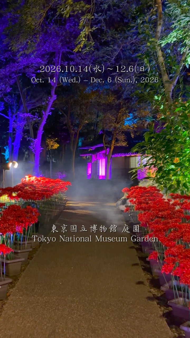 Tokyo National Museum Hosts Zen Night Illuminations