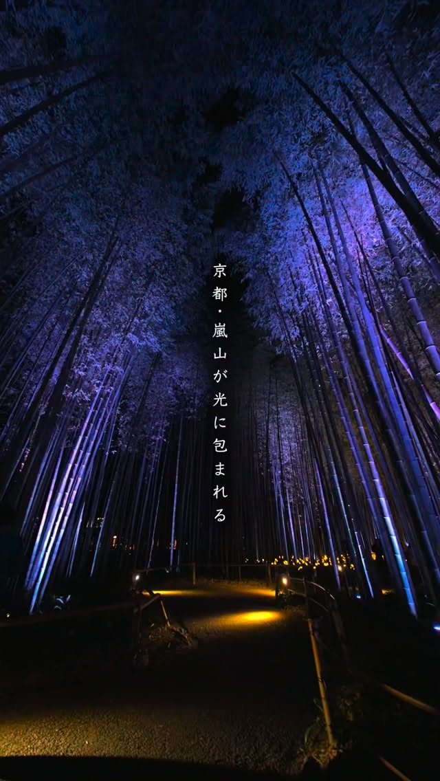 Kyoto Bamboo Grove Light-Up Event