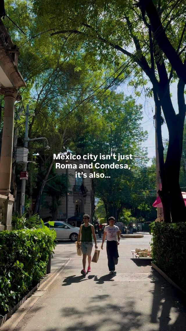 Mexico City Neighborhoods Offer Diverse Cultural Experiences