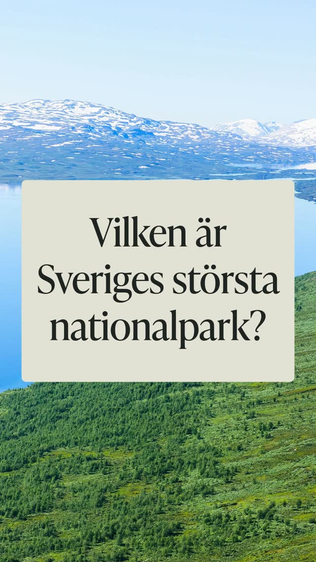 Padjelanta National Park: Sweden's Largest