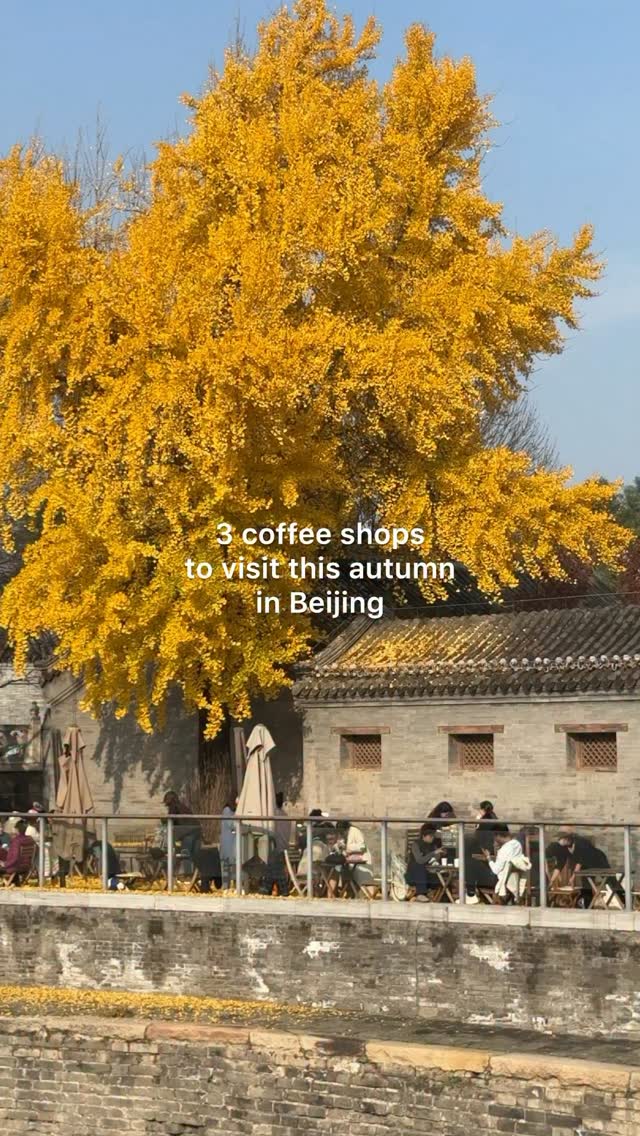 Autumn Coffee Shops To Visit In Beijing