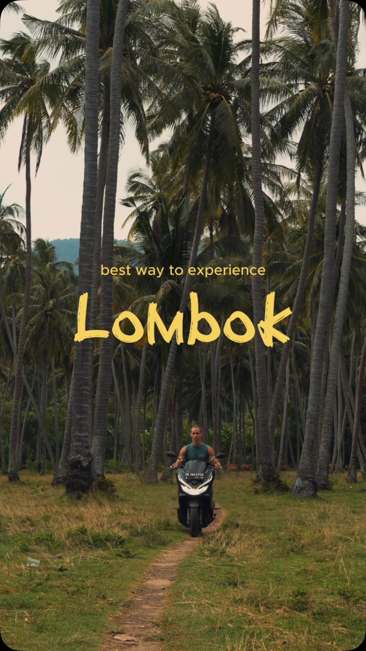 Lombok's Natural Wonders and Local Experiences