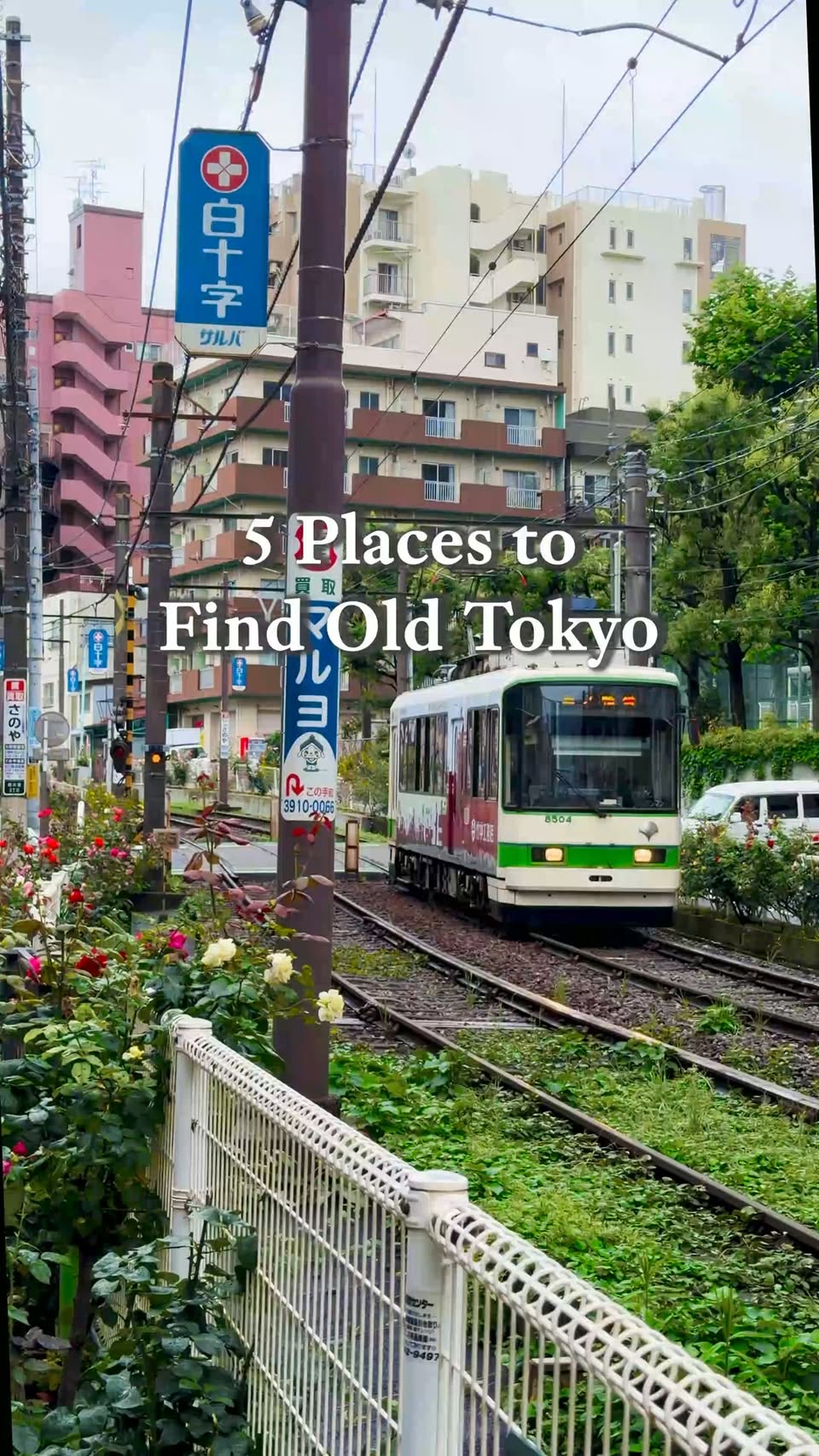 Five Spots for an Authentic Old Tokyo Experience