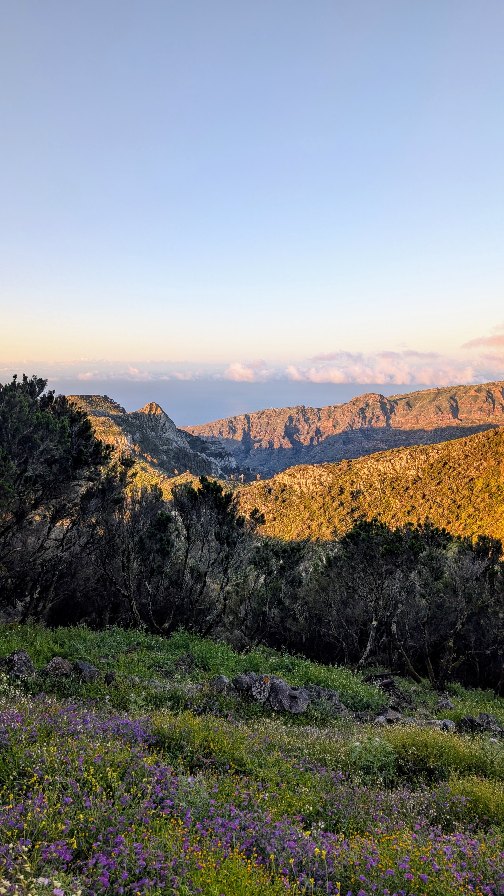 Discover La Gomera's Natural Wonders