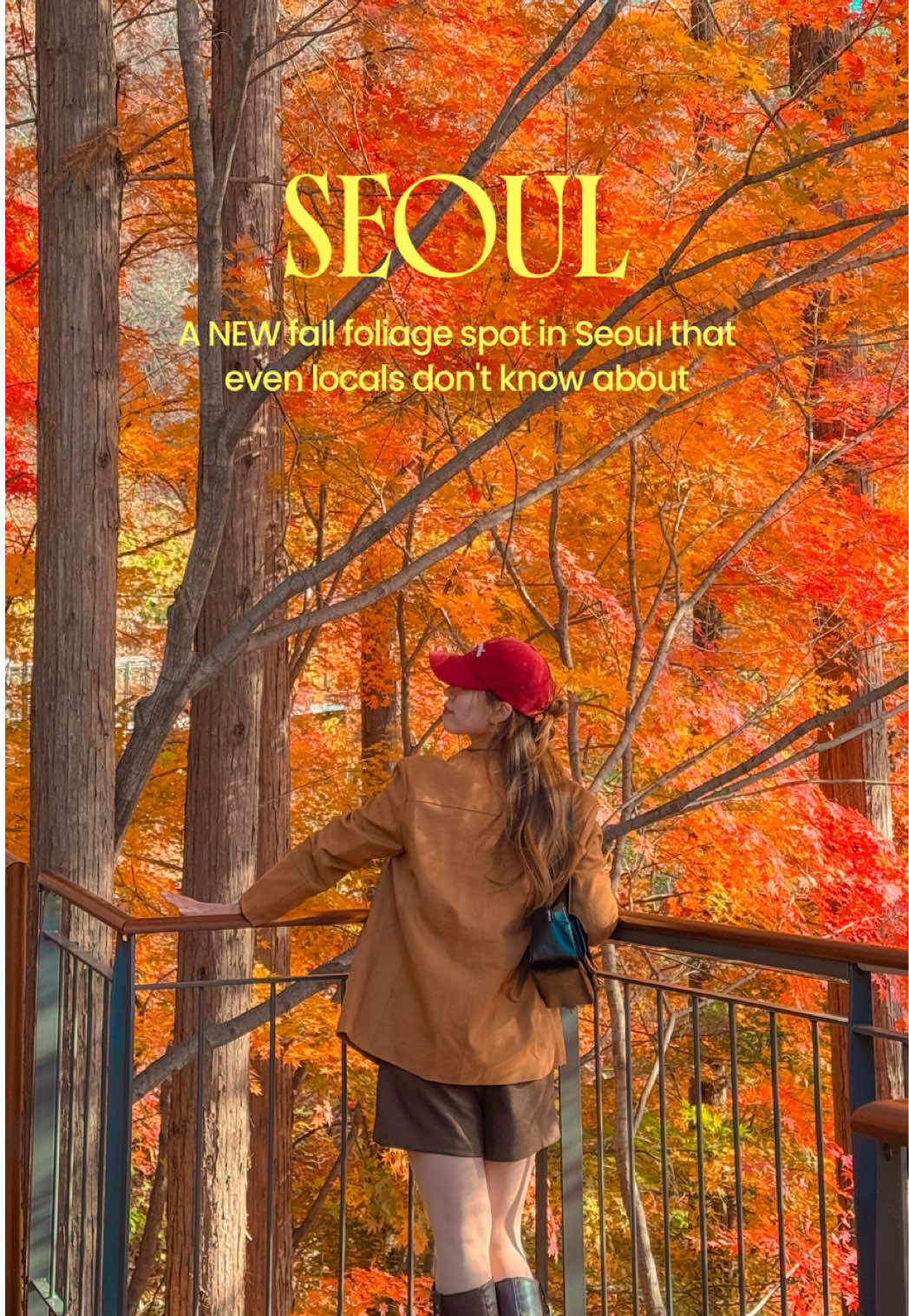 Seoul's Namsan Trail: Autumn Foliage Beauty