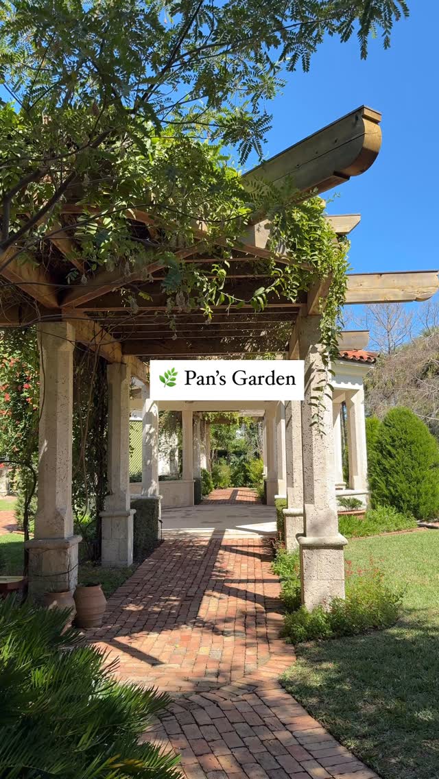 South Florida's Top Museums, Gardens, and Attractions