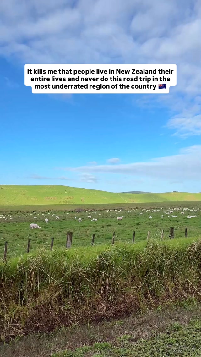 Northland Road Trip: Beaches, Forests, and Dunes