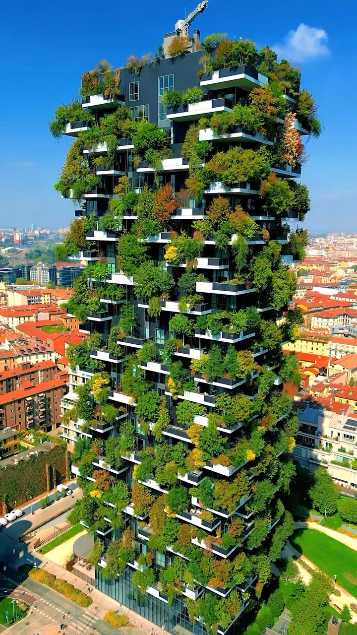 Milan's Vertical Forest Showcases Sustainable Design