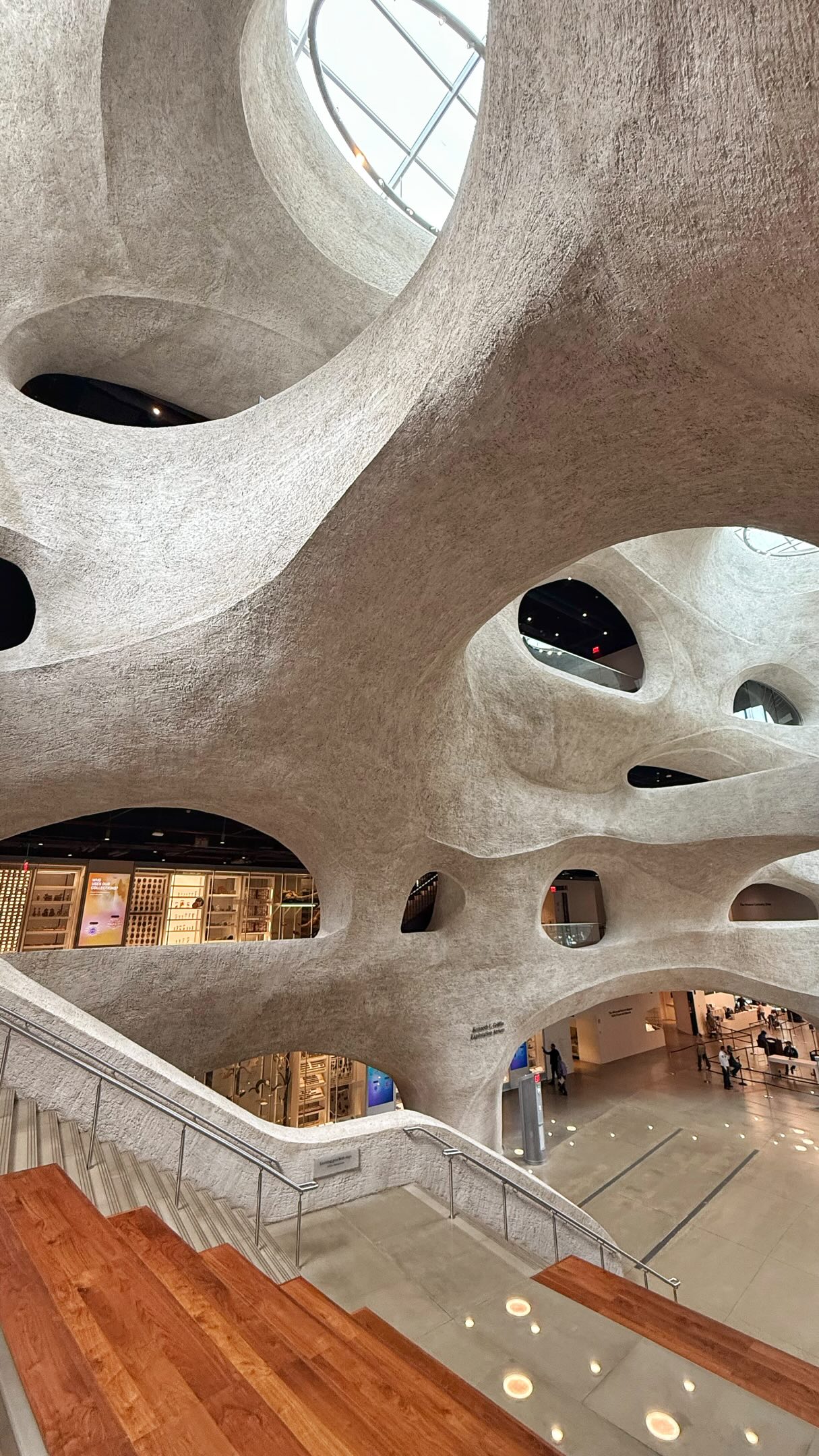 American Museum Of Natural History's New Gilder Center