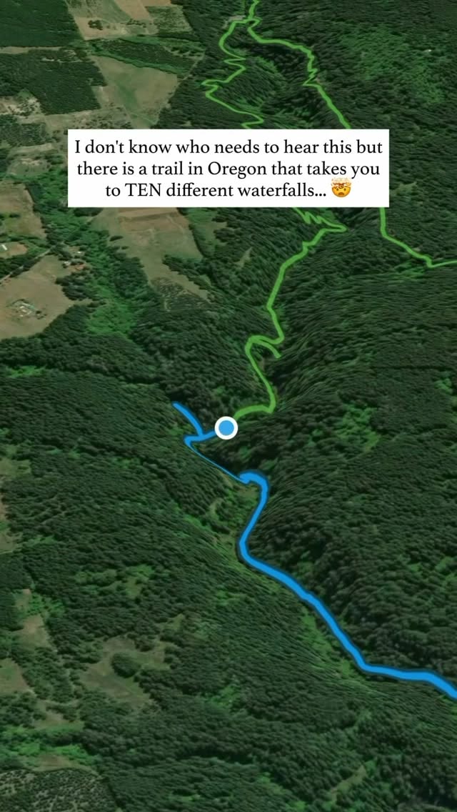 Oregon's Silver Falls State Park Trails