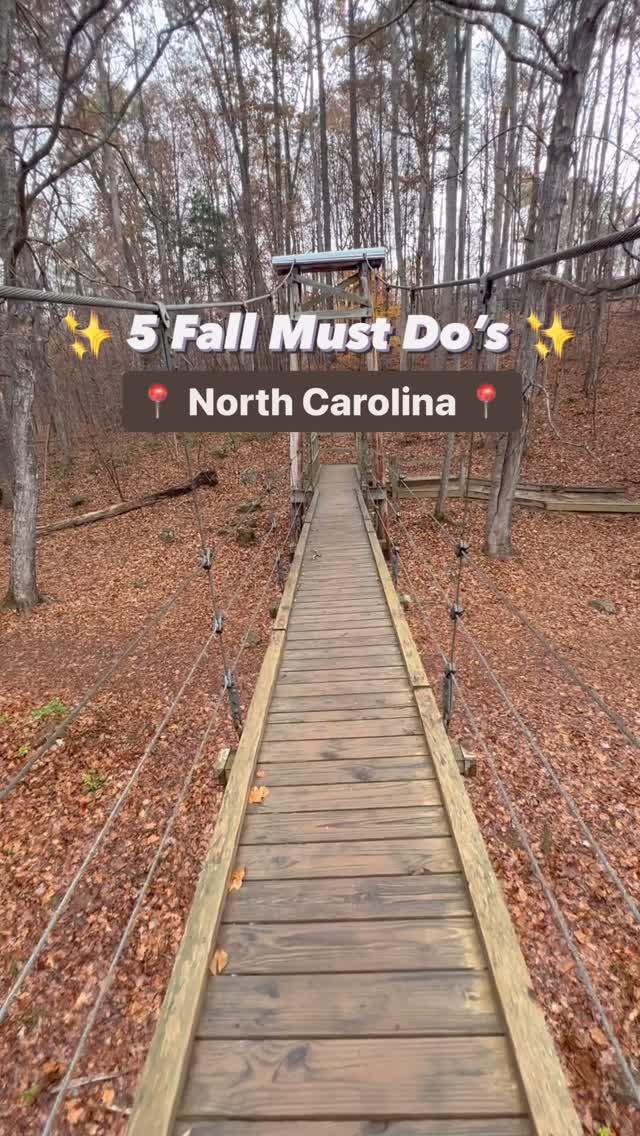 Three Notable Waterfall Hikes In North Carolina
