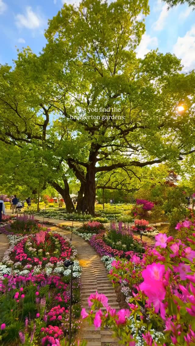 Ashikaga Flower Park's Blooming Beauty