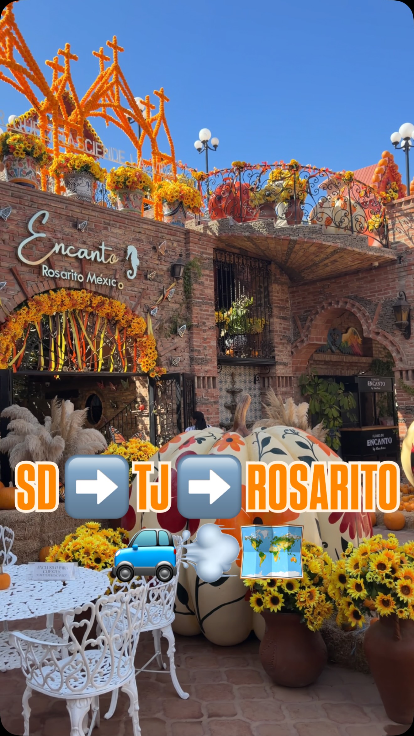 Rosarito Dining and Driving Tips