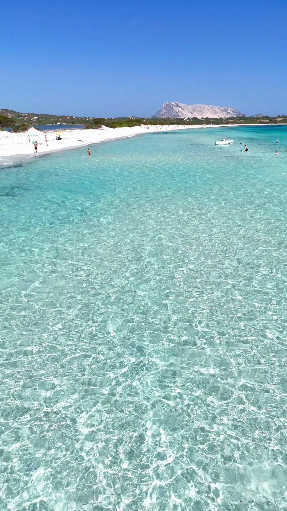 Sardinian Beach Views With Island And Flamingos