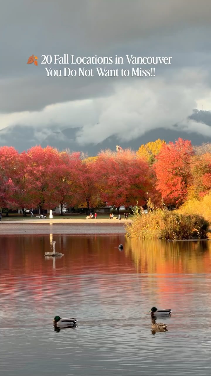 Vancouver's Most Vibrant Autumn Foliage Spots