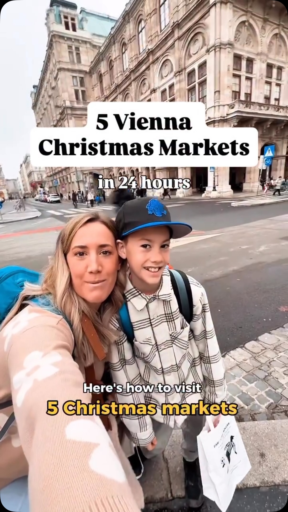 Vienna Christmas Markets And Palaces