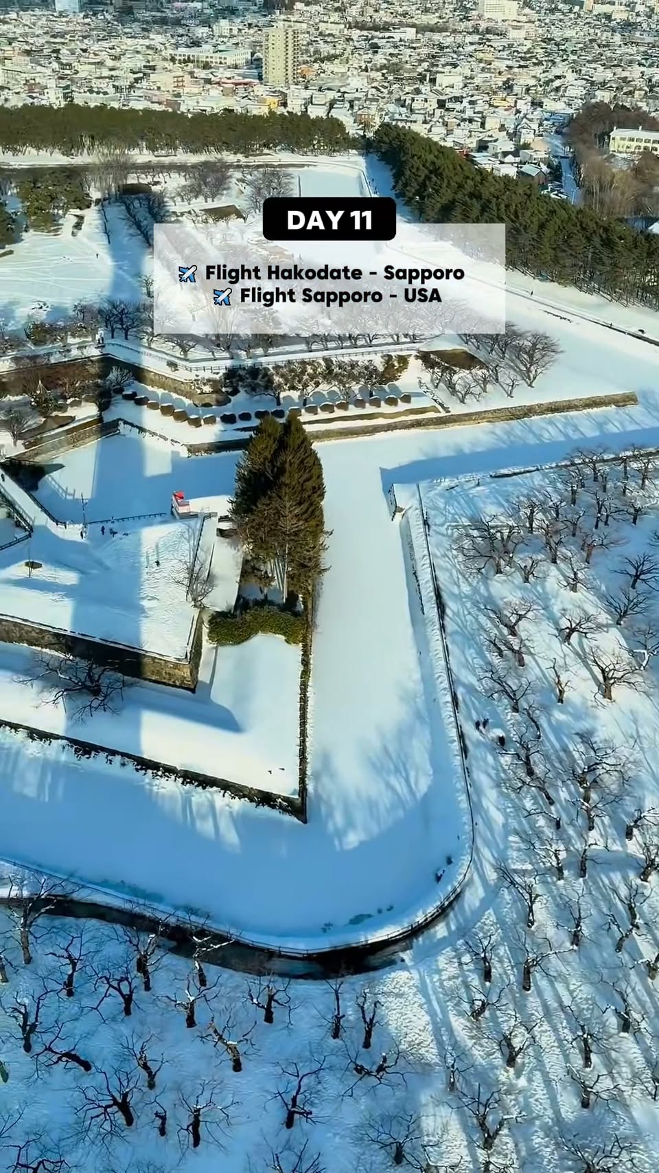 Hokkaido's Winter Wonders: Ice Festivals and Top Spots