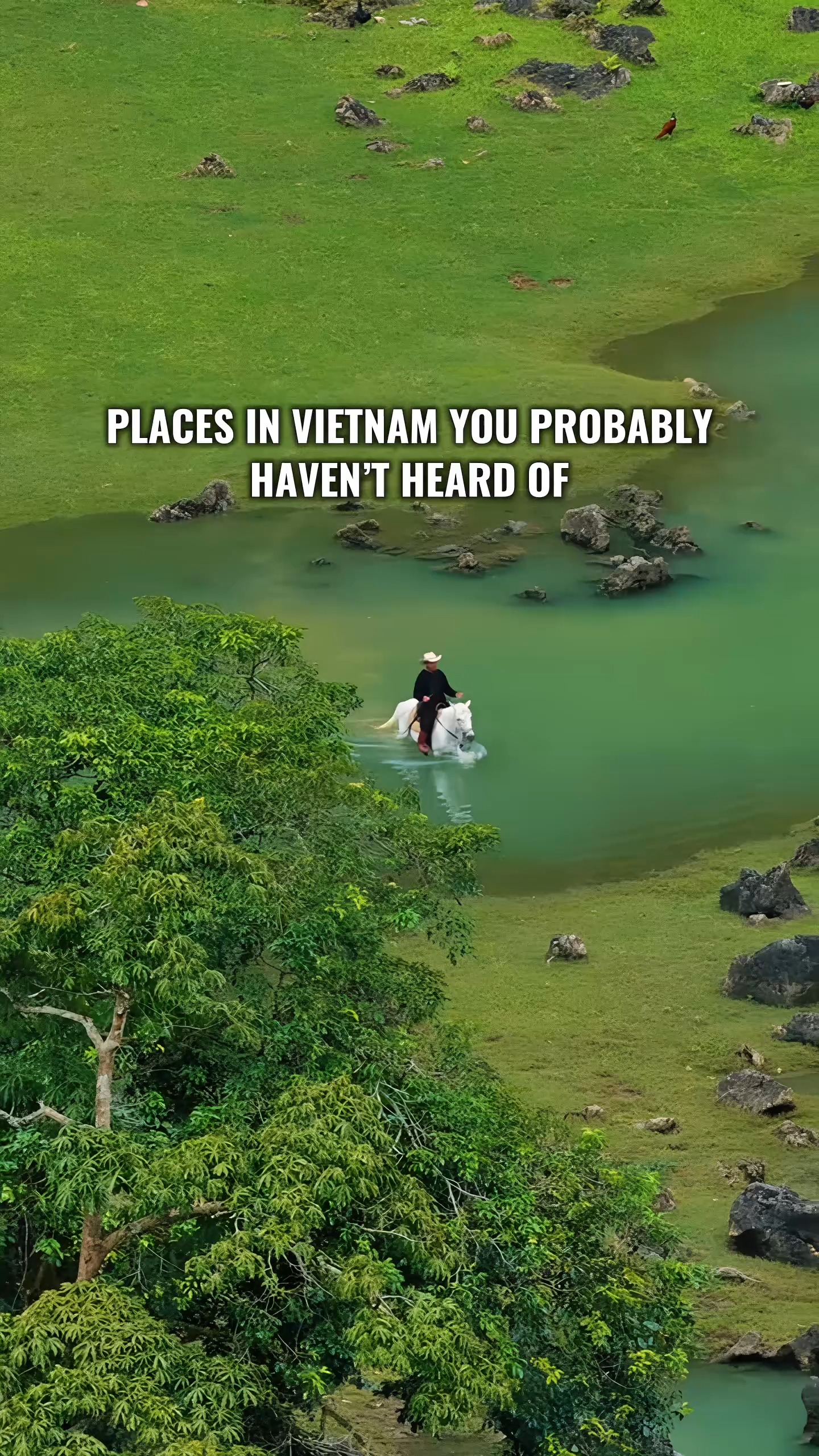 Vietnam's Unique Natural Wonders