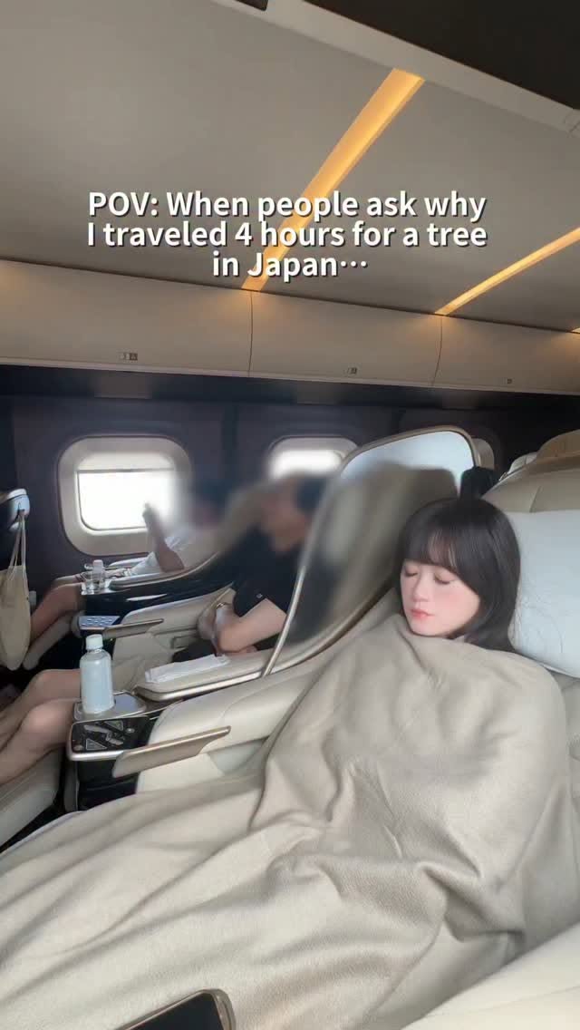 Totoro Tree Amidst Japanese Scenic Beauty