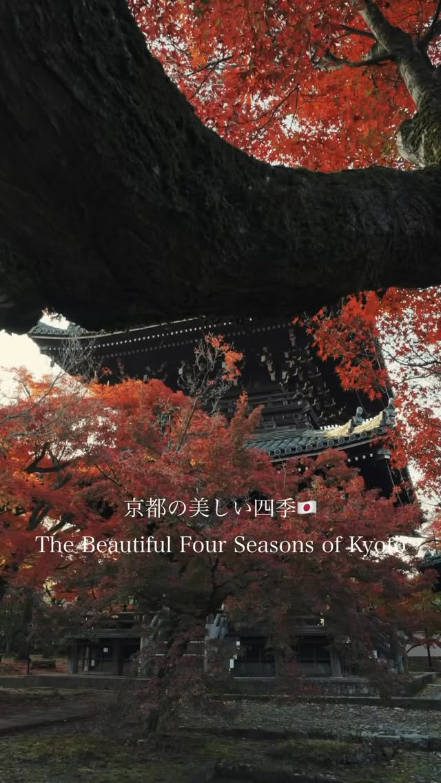 Kyoto's Temples and Villages Through Four Seasons