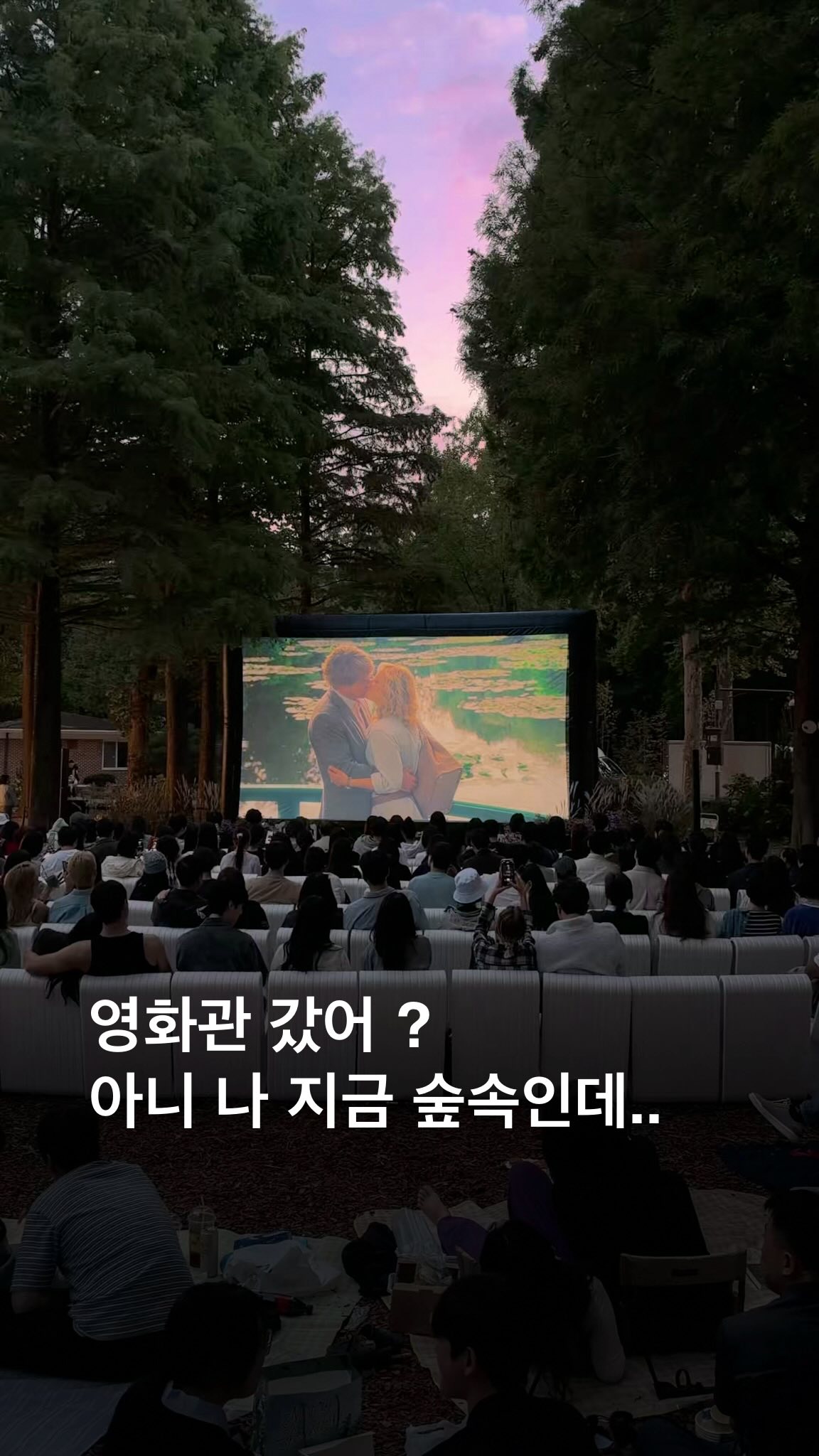 Outdoor Movie Screenings In Seoul's Maheon Citizen's Forest