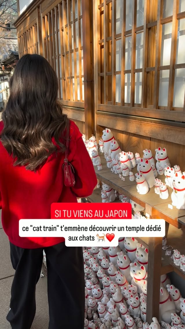 Gōtokuji Temple's Cat Statues