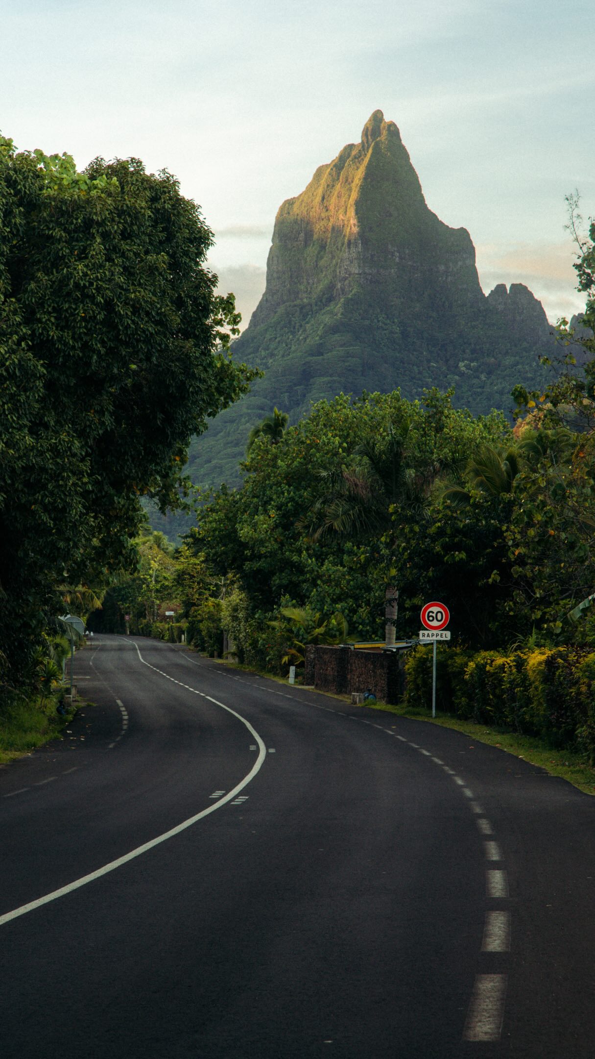 Moorea: Lagoon, Mountains, and Whale Watching Adventures