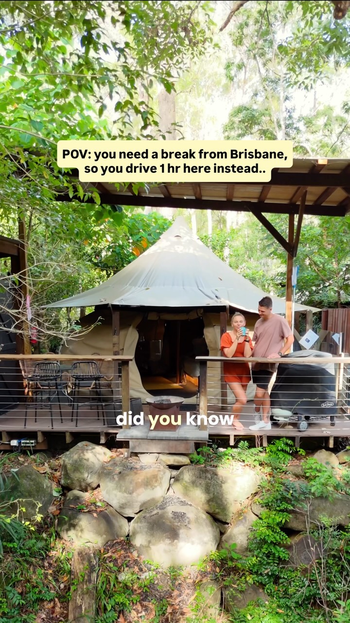 Tamborine Mountain Adventures: Rainforest, Wine, and Dining