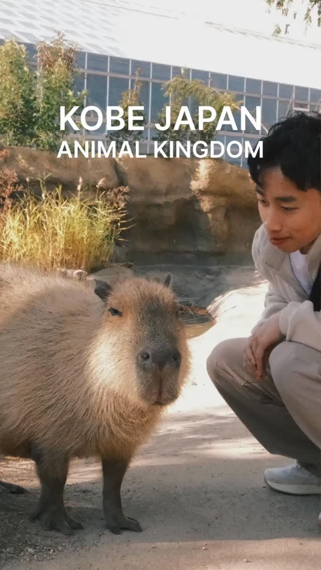Kobe Animal Kingdom Offers Interactive Animal Encounters