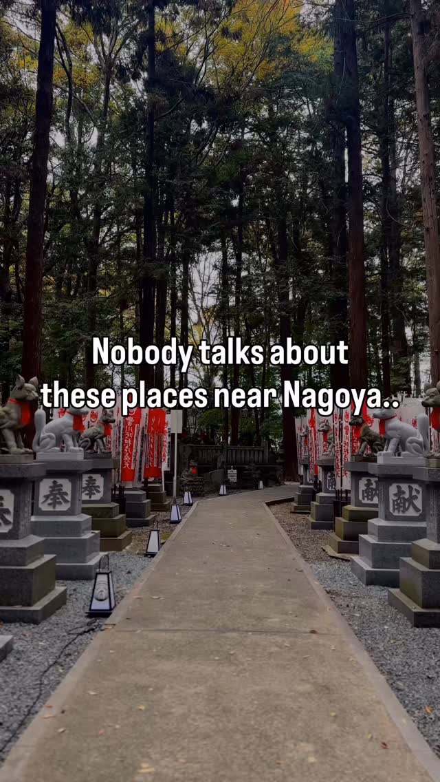Nagoya Day Trips: Castles, Temples, and Pottery Towns