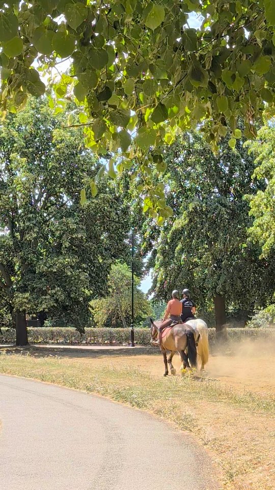 Horseback Riding Through London's Hyde Park