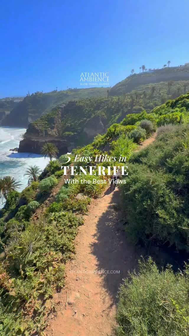 Five Easy Tenerife Hikes With Ocean and Volcano Views