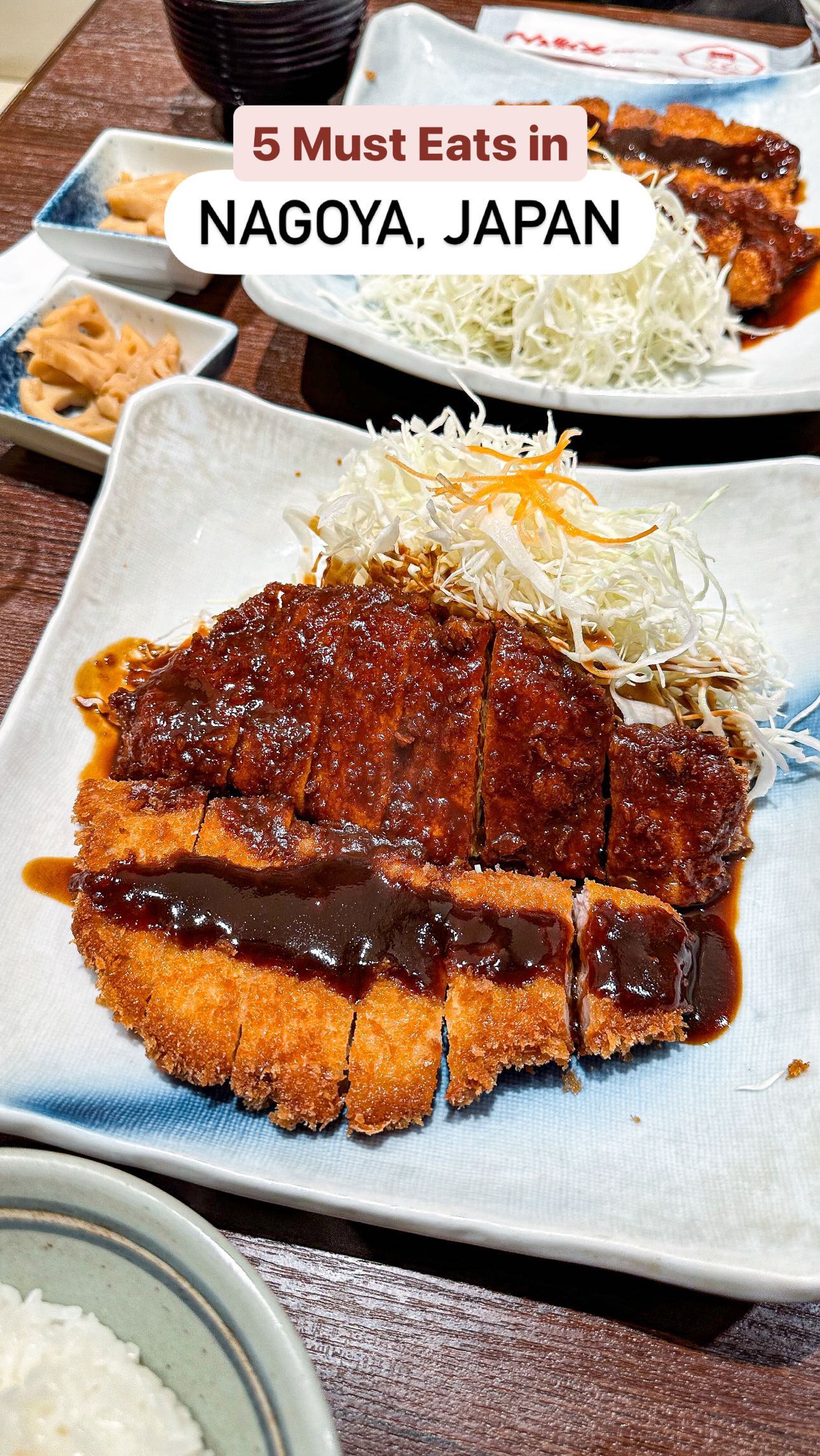 Nagoya's Top 5 Must-Try Foods