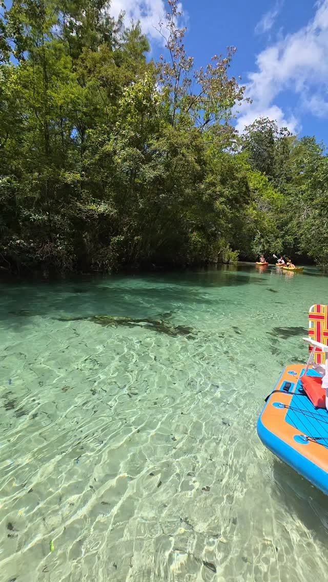 Weeki Wachee River Offers Clear Waters and Outdoor Fun
