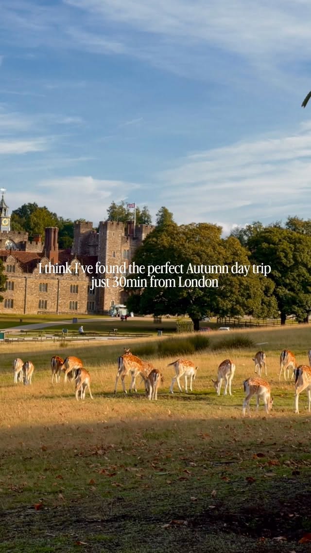 Autumn Day Trip to Sevenoaks and Knole Park