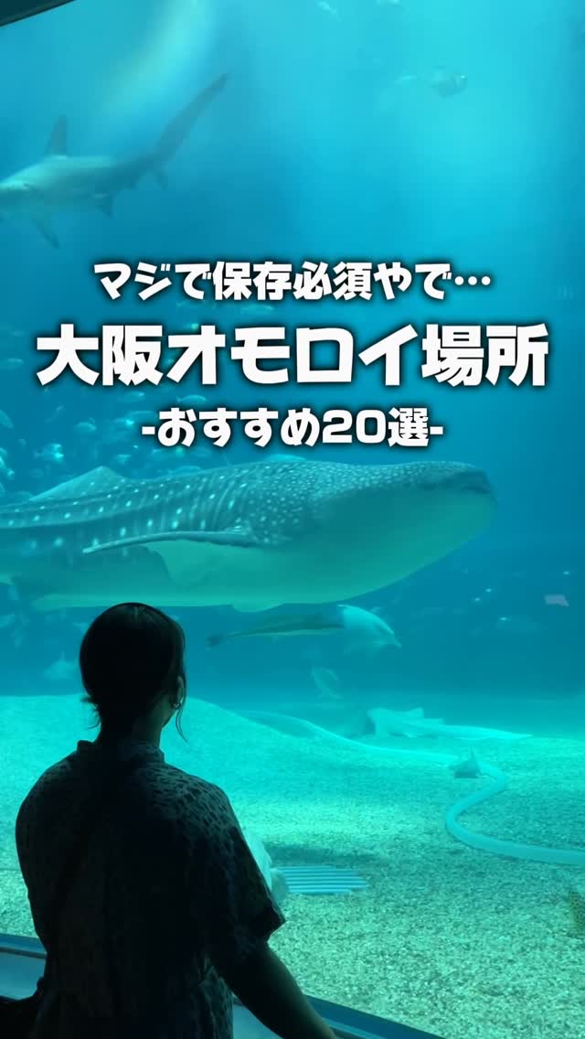 Osaka's Top Attractions: From Aquariums to Animal Parks