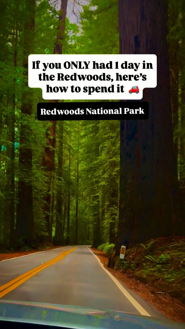 California's Redwood National Park: A One-Day Itinerary