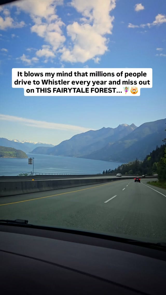 Whistler Area Forests and Waterfalls