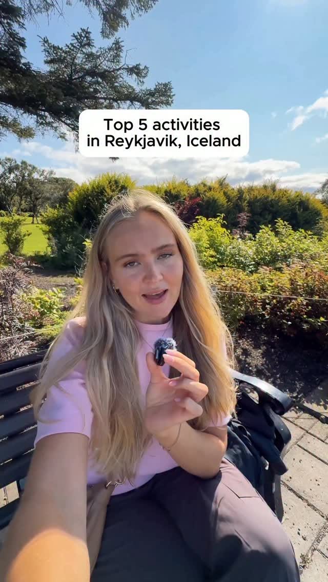 Reykjavik's Best Bakeries and Hallgrimskirkja Views