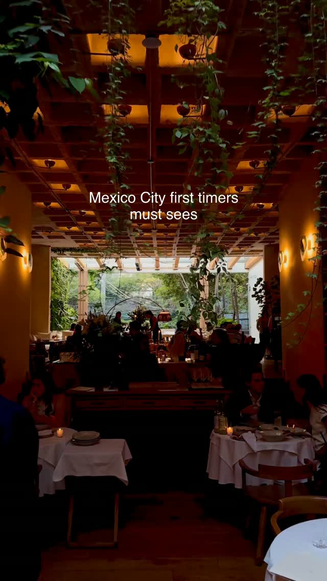 Mexico City's Top Attractions for New Visitors