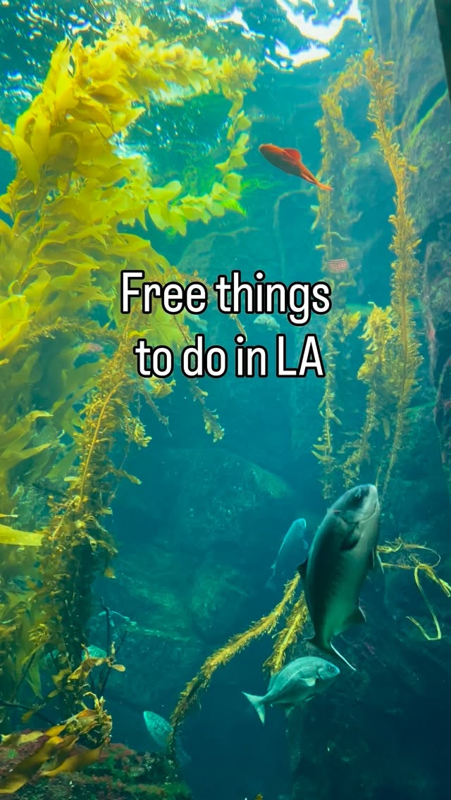 Free LA Fun: California Science Center