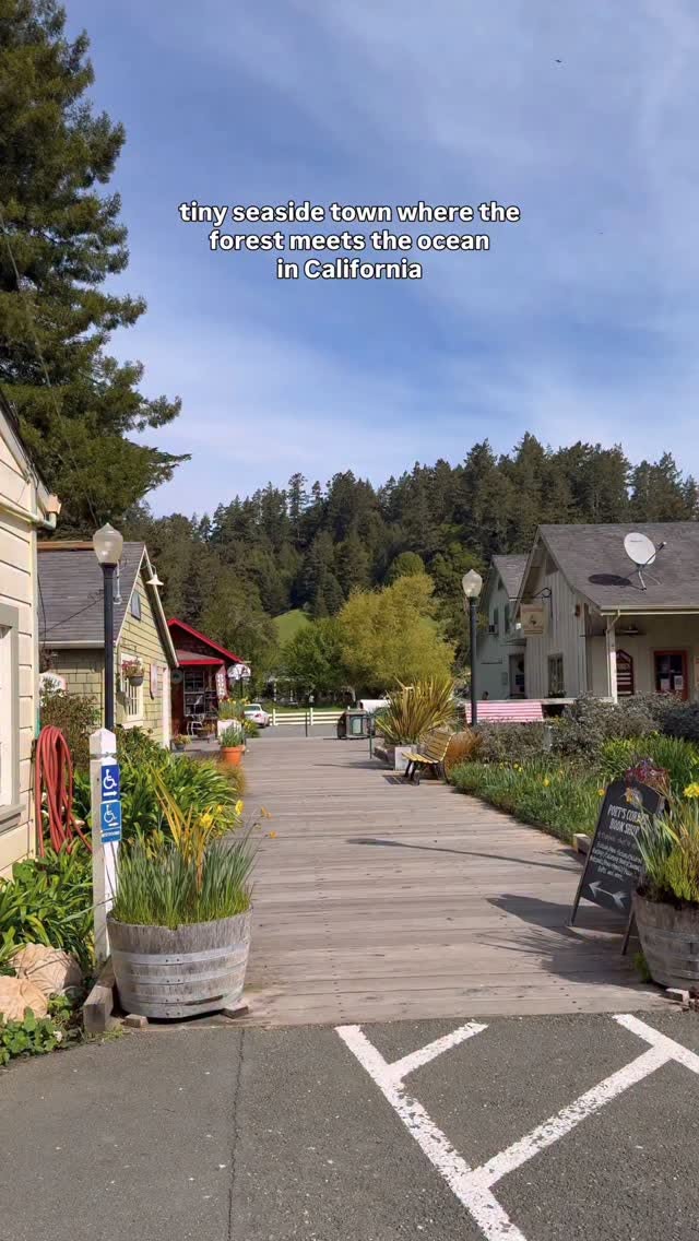 California Coastal Towns: Redwoods Meet The Ocean
