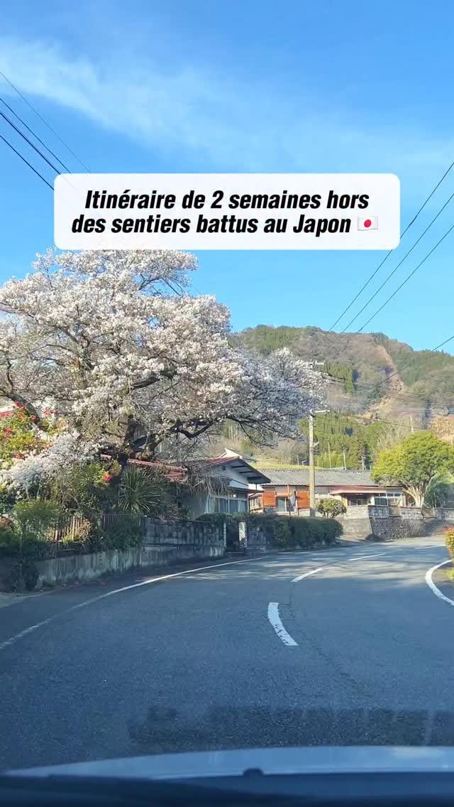 Kyushu: A Two-Week Journey Through Japan's Southern Island