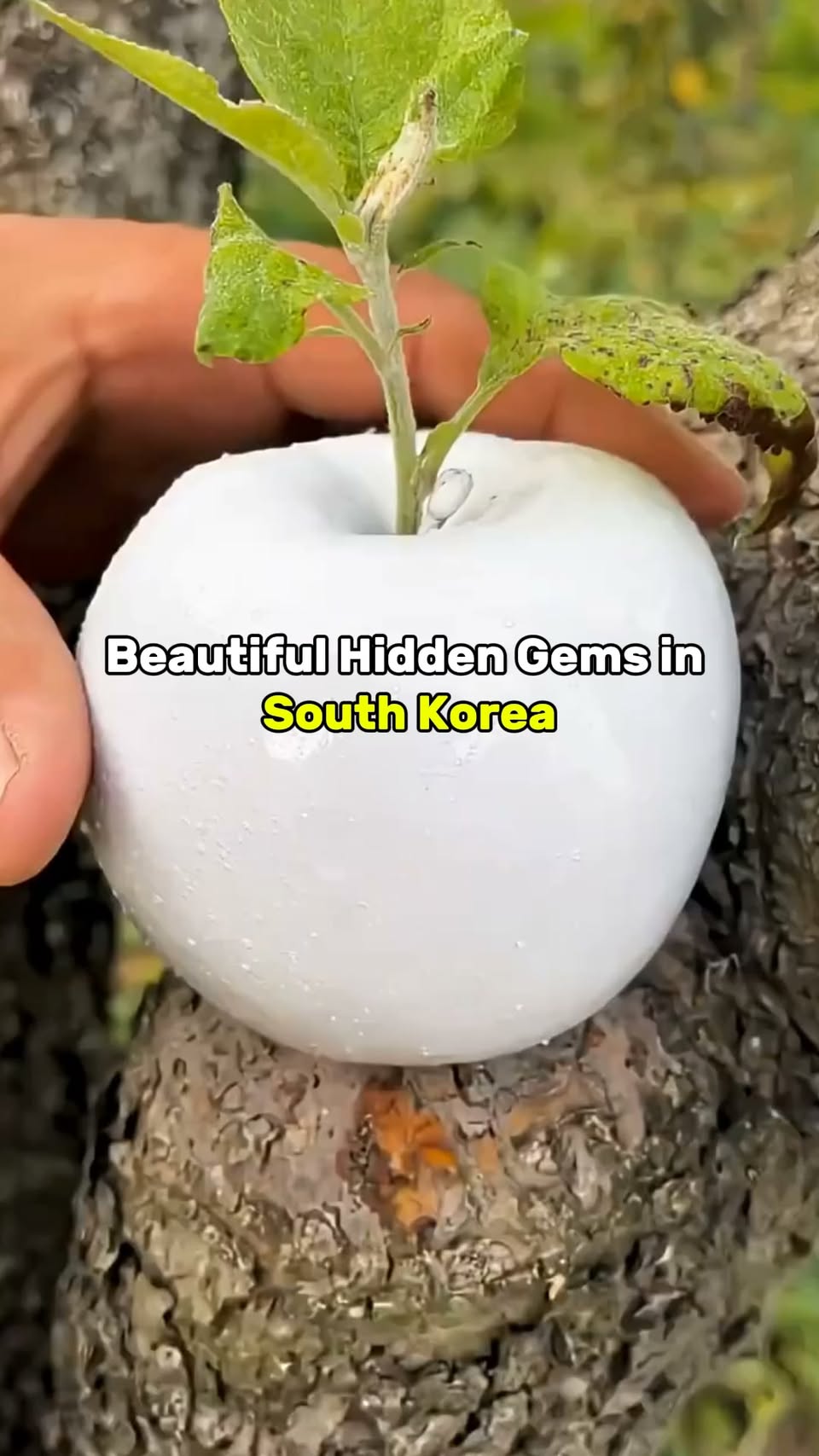 Five Scenic Korean Destinations
